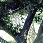 Fotor_153493337032348