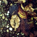 IMG_20171120_222059_322