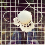 IMG_20200522_182301_241